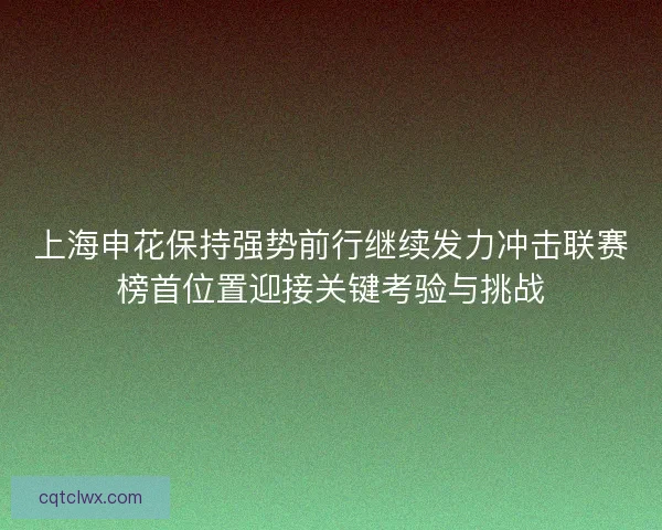 上海申花保持强势前行继续发力冲击联赛榜首位置迎接关键考验与挑战 上海申花保持强势前行继续发力冲击联赛榜首位置迎接关键考验与挑战