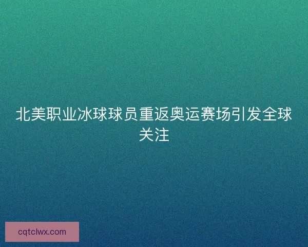 北美职业冰球球员重返奥运赛场引发全球关注 北美职业冰球球员重返奥运赛场引发全球关注